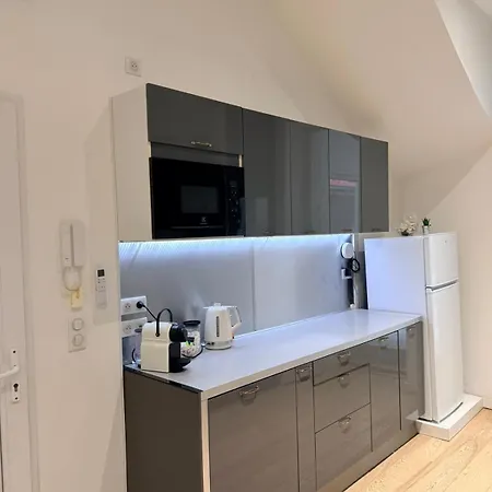 L'écrin De Saint-clair Appartement Caluire-et-Cuire